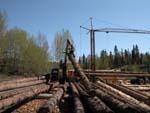 Harry Houlden delivering logs to our building site using his self-loader